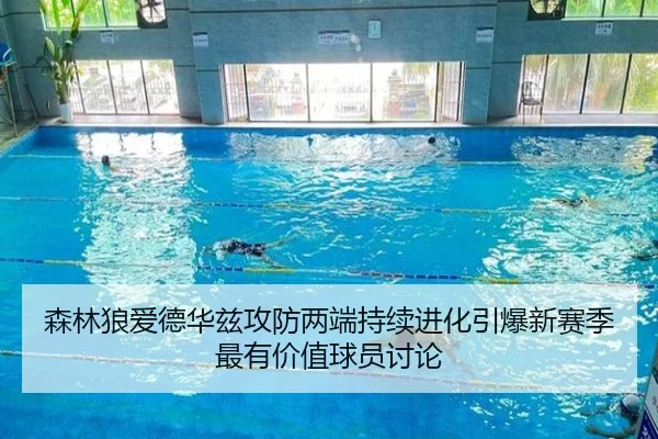 森林狼爱德华兹攻防两端持续进化引爆新赛季最有价值球员讨论